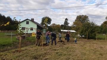 Akcja sadzenia drzew miododajnych w ramach działań na rzecz ochrony pszczół w Gminie Wieleń, 12.10.2019 fot. Koło Pszczelarzy w Wieleniu  